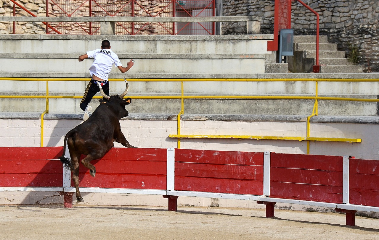 陣皇家馬德