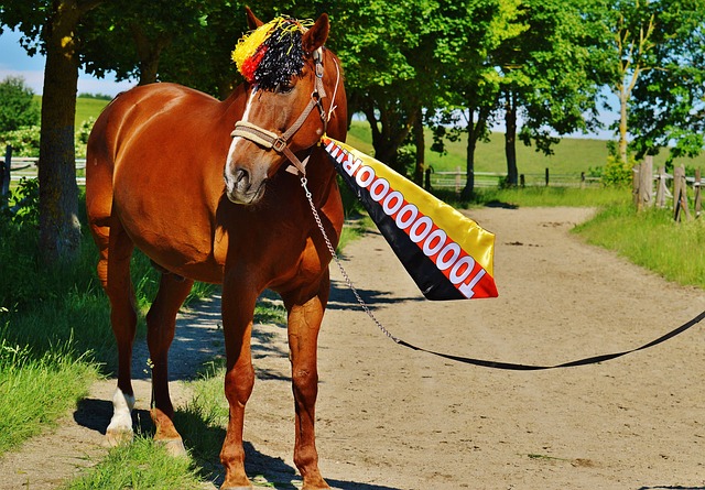 这场比赛的 这场比赛的